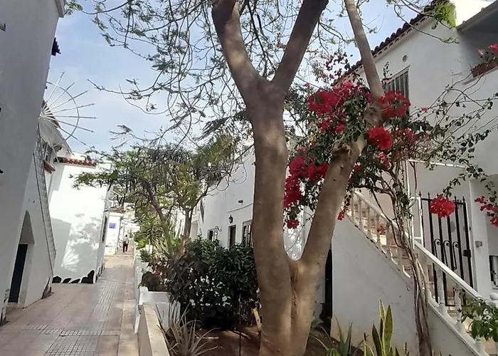 Playa Montana Amarlla,pools,wifi Apartament *